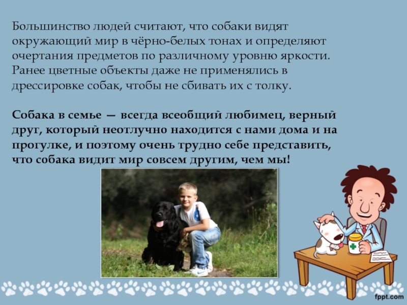 Как видит собака окружающий мир. Как собаки воспринимают окружающий мир. Считаю что большинство людей. Как видят мир собаки.