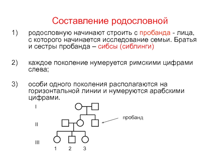 Проект по биологии 10 класс генетика