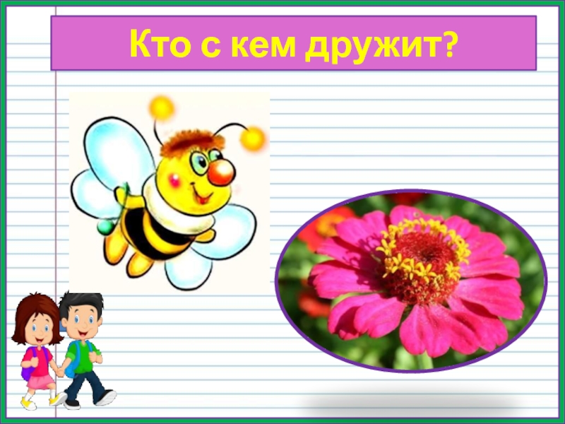 Кто с кем дружит. С кем дружит Николай. Кто с кем дружит бабочка. Кто с кем дружит в виде стихотворения.