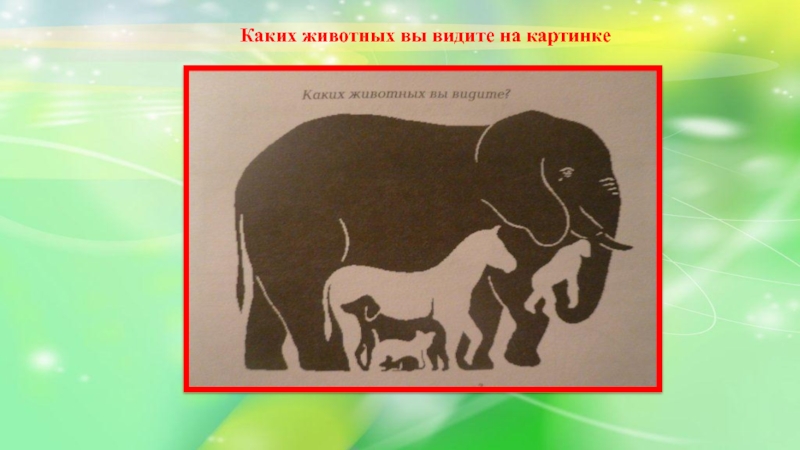 Сколько животных. Каких животных вы видите. Какое животное видишь на картинке. Каких животных на этой картинке вы видите?. Каких животных вы видите на картинке медведь Муха щенок.