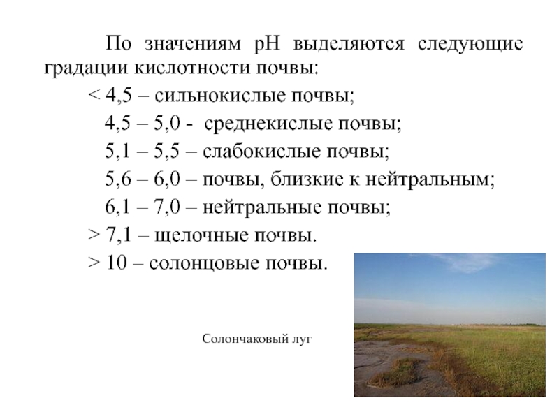 Сильнокислые почвы. Кислотность почвы. Градация кислотности почвы. Градация почв по кислотности. Кислотность грунта почвы