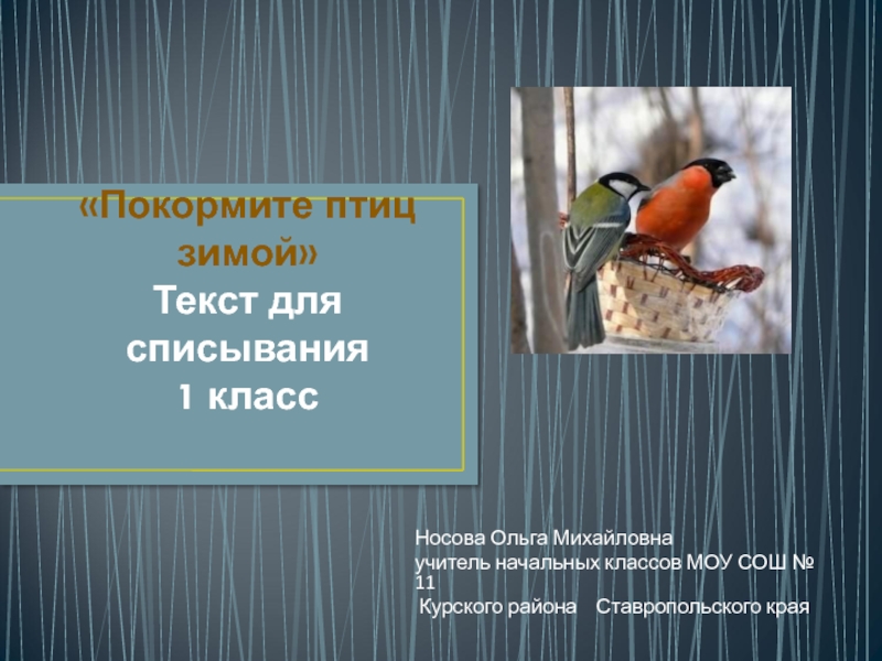 Презентация Покормите птиц зимой. Текст для списывания 1 класс