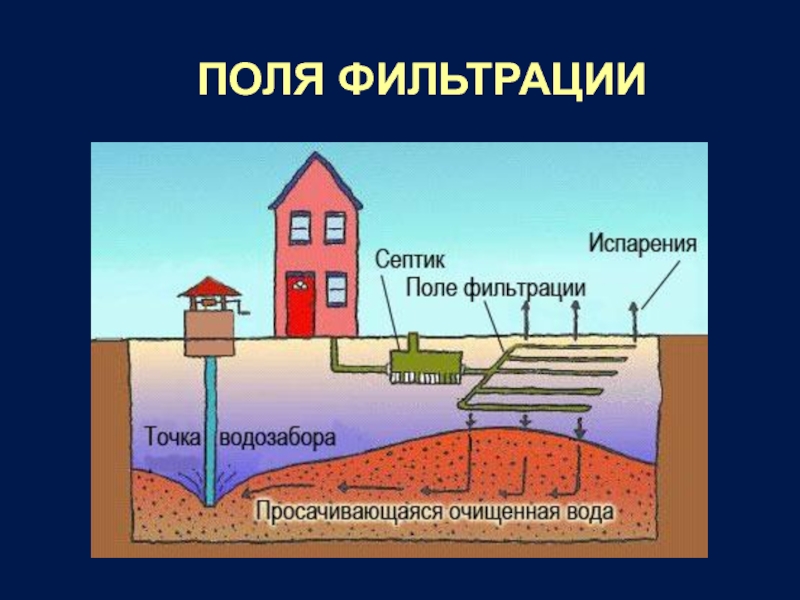 Полей испарения. Поля фильтрации. Поля испарения.