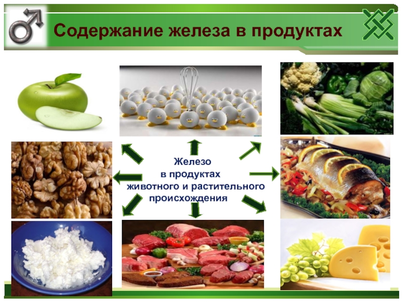 Продукт железы. Железо растительного происхождения. Железо в продуктах животного и растительного происхождения. Железосодержащие продукты растительного происхождения. Железо растительного происхождения и животного.