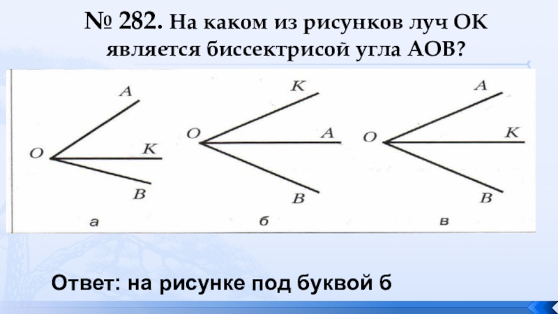 Сколько лучей на рисунке 2 класс