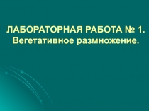 ЛАБОРАТОРНАЯ РАБОТА № 1. Вегетативное размножение