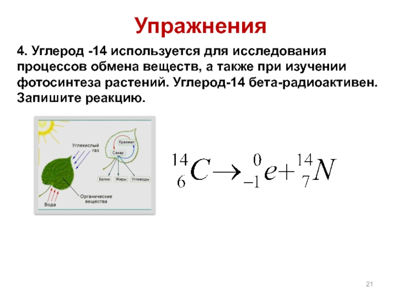 Углерод в фотосинтезе. Реакция бета распада углерода 14. Схема распада углерода 14. Уравнение бета распада углерода. Реакция бета распада углерода.