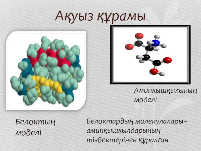 Химия 7 сынып. Ақуыз дегеніміз не. Ақуыздар дегеніміз не. Аминқышқылдарының моделі. Супрефоса слайды.