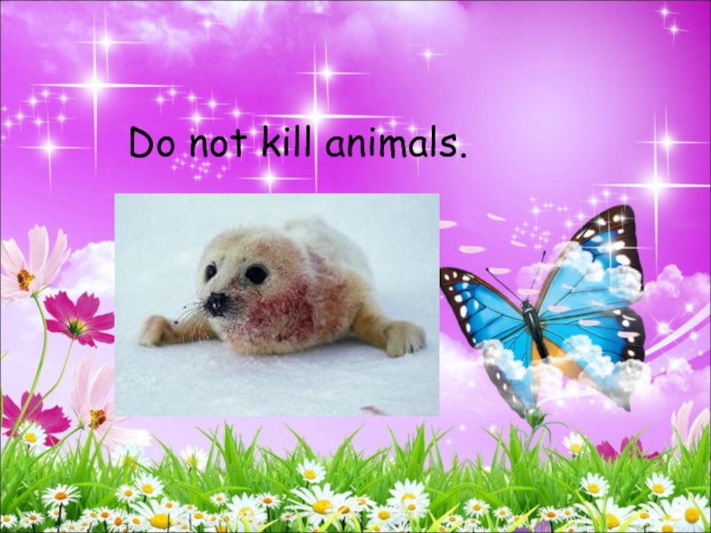 Do not kill animals.