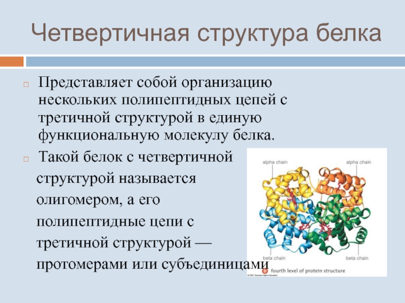 Четвертичная структура молекулы белка. Белок четвертичной структуры. Четвертичная структура белка. Четвертичная структура белка представляет собой. Четвертичная структура.