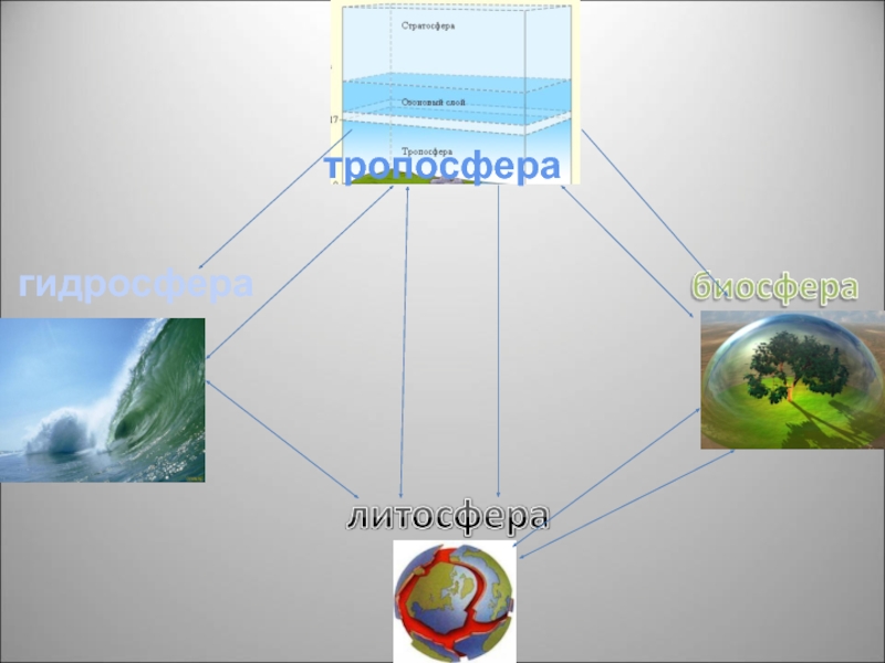 Презентация природные комплексы как части географической оболочки