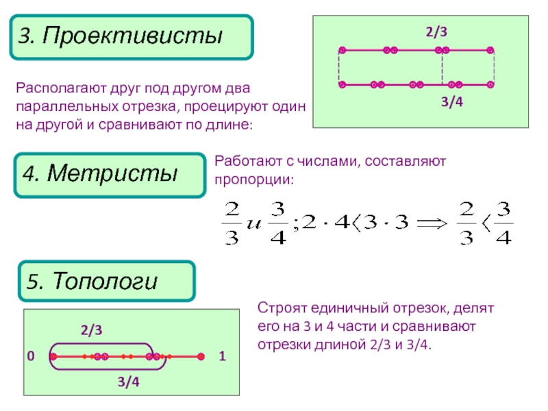 Два параллельных отрезка. Как по пропорции найти длину отрезка. Как найти длину отрезка через пропорцию. Метристы.