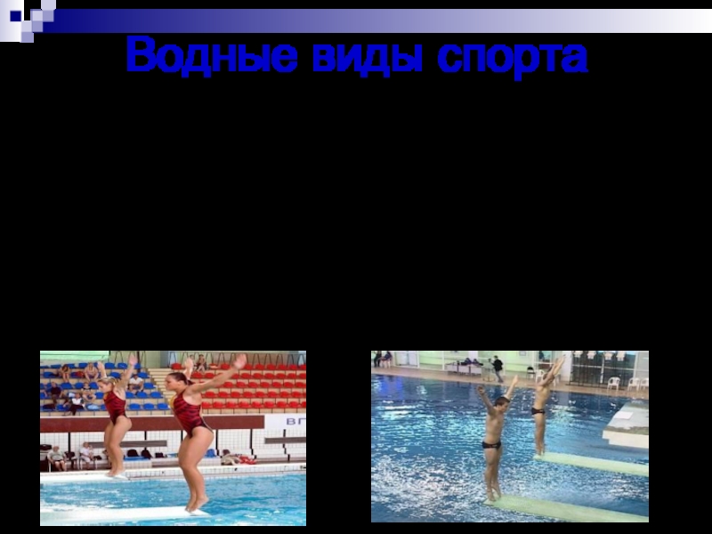 Водные виды спорта презентация