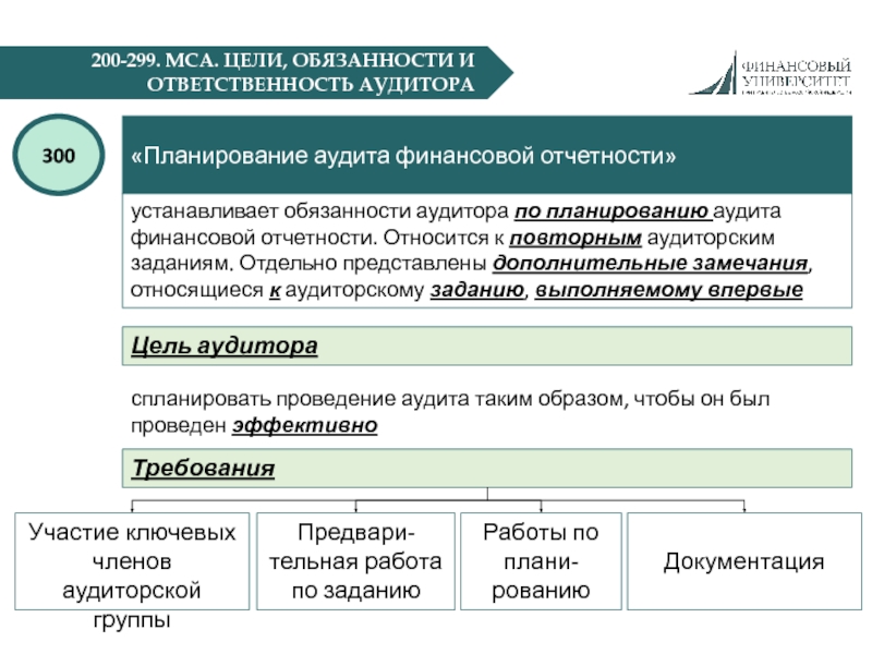 План аудита финансовой отчетности