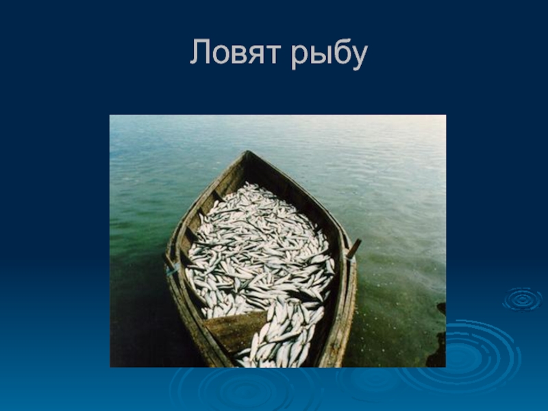 Использование реки человеком 4 класс. Как люди используют реку Кармала. Как используют реку учу человеки. Как используется река Берд человеком. Использование реки Упы человеком.