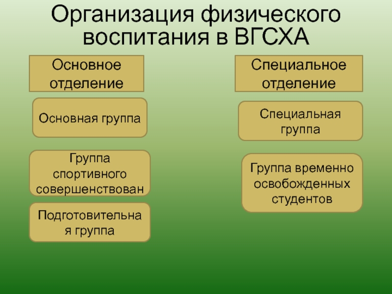 Реферат: Организация физического воспитания в вузе