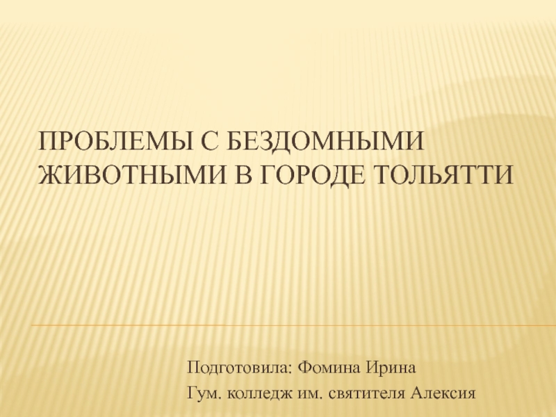 Проблемы с бездомными животными в городе Тольятти