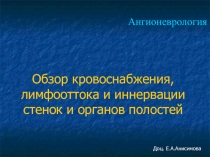 Обзор кровоснабжения, лимфооттока и иннервации стенок и органов полостей