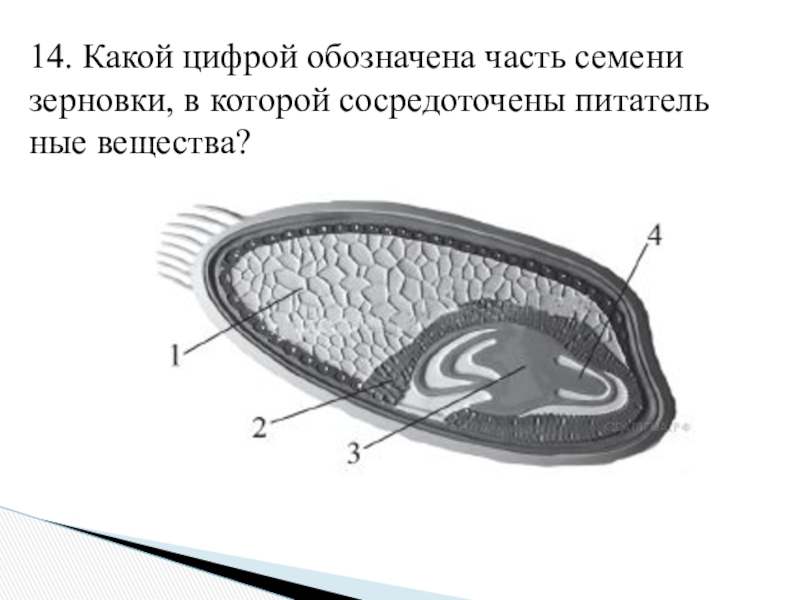 На схеме встроенного убежища цифрой 10 обозначено