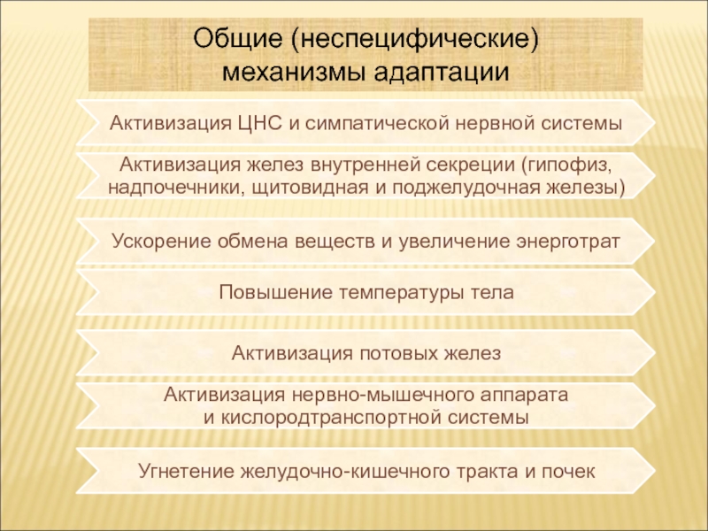 Общие механизмы. Специфические механизмы адаптации. Общие и специфические механизмы адаптации. Неспецифический процесс адаптации. Механизмы адаптации специфические и неспецифические.