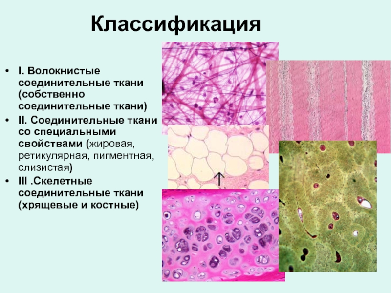 Волокнистая ткань фото