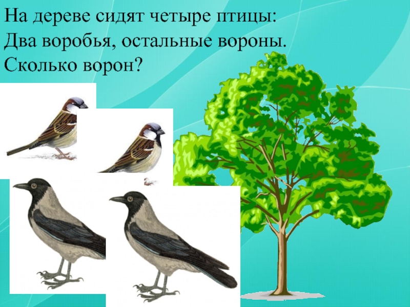 На дереве сидело 20 птиц. На дереве сидели 4 птицы 2 воробья остальные вороны. Несколько Воронов на дереве.