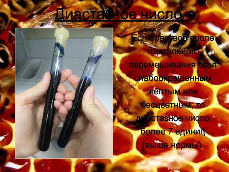 ТЕСТИРОВАНИЕ ЭКСПРЕСС-МЕТОДОВ ОПРЕДЕЛЕНИЯ ФАЛЬСИФИКАЦИИ МЕДА Диастазное числоЕсли раствор после тщательного перемешивания стал слабоокрашенным жёлтым или бесцветным, Диастазное числоЕсли раствор после тщательного перемешивания стал слабоокрашенным жёлтым или бесцветным, то диастазное число более 7 единиц