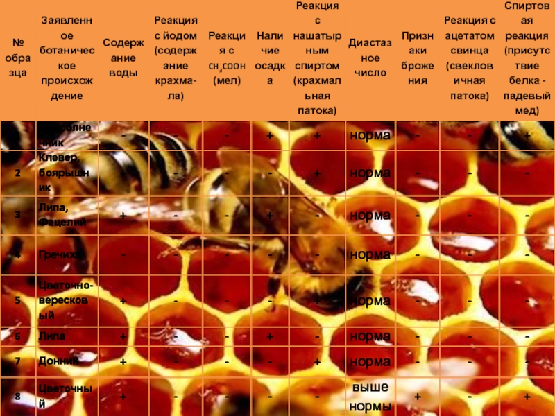 ТЕСТИРОВАНИЕ ЭКСПРЕСС-МЕТОДОВ ОПРЕДЕЛЕНИЯ ФАЛЬСИФИКАЦИИ МЕДА