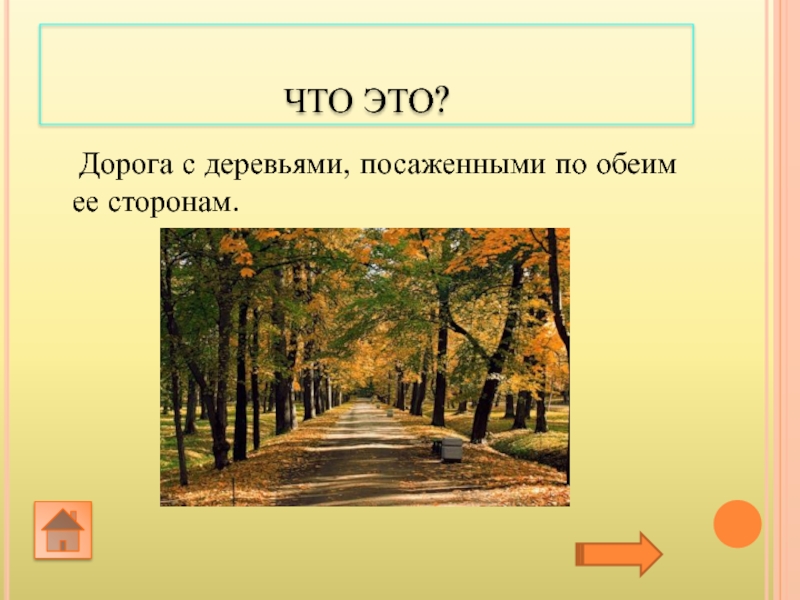 Осенью по обеим сторонам. Дорога с деревьями по обеим сторонам. Улица с деревьями по обеим сторонам. Сельская дорога с деревьями по обеим сторонам.