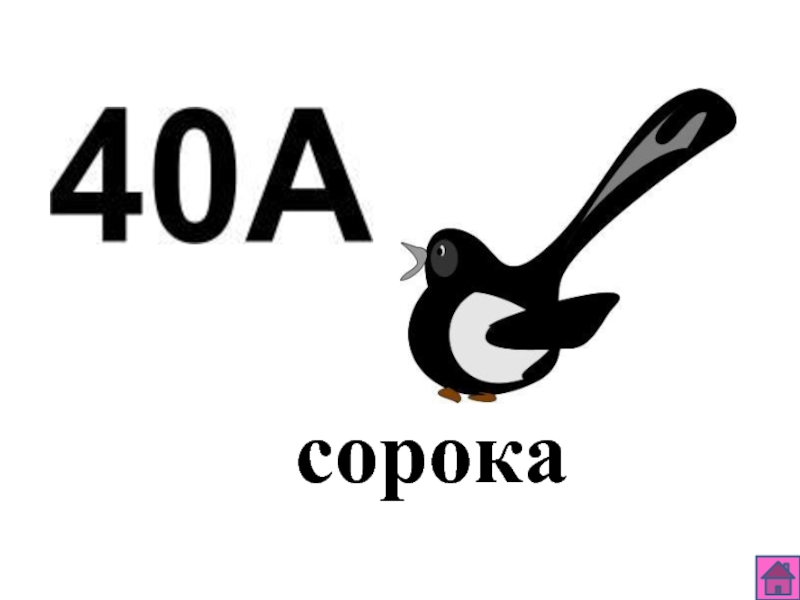 Читай 40. Сорока а вот я. О5 опять 40а сорока.