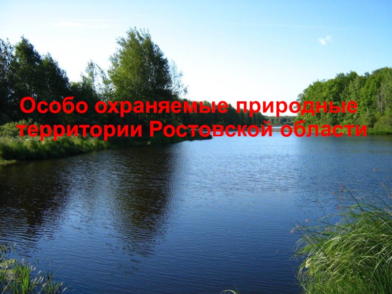 Презентация Особо охраняемые природные территории Ростовской области