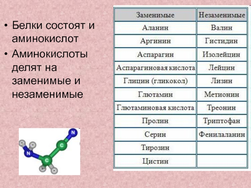 Аминокислоты белки презентация