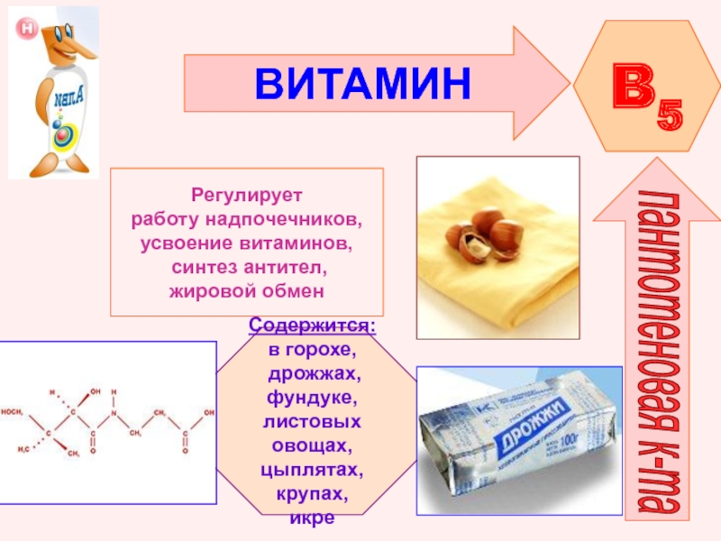 Синтез витамина б. Синтез витамина b5. Усвоение витаминов. Всасывание витаминов. Витамин b5 пантотеновая кислота.