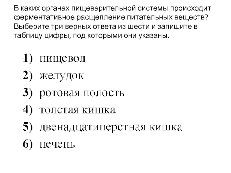 Какую функцию выполняет изображенный на рисунке орган ферментативное расщепление веществ