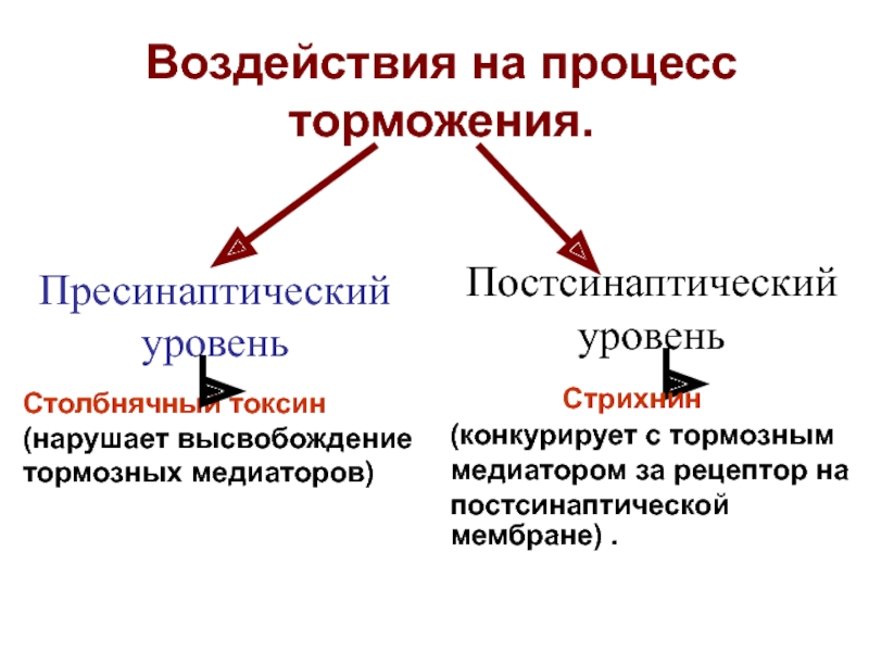 Возбуждение и торможение. Дефицит процесса торможения ЦНС. Дефицит торможения в нервной системе. Медиатор процессов торможения. Дефицит торможения в нервной системе может приводить к:.