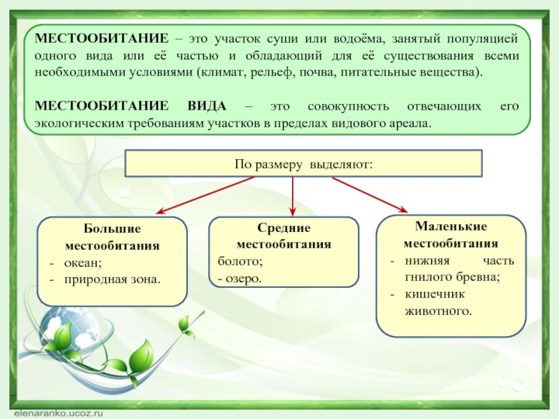 Экология к егэ презентация