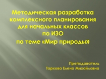 Методическая разработка комплексного планирования по ИЗО 