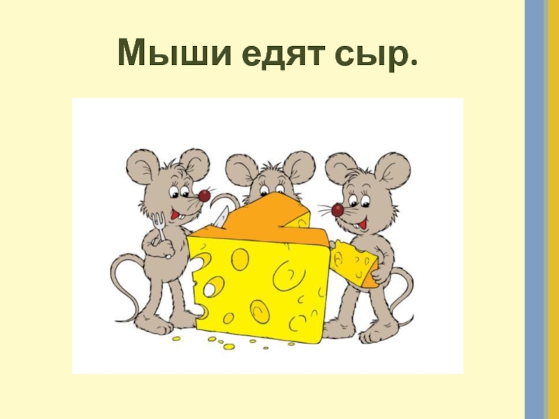 Мыши едят сыр.