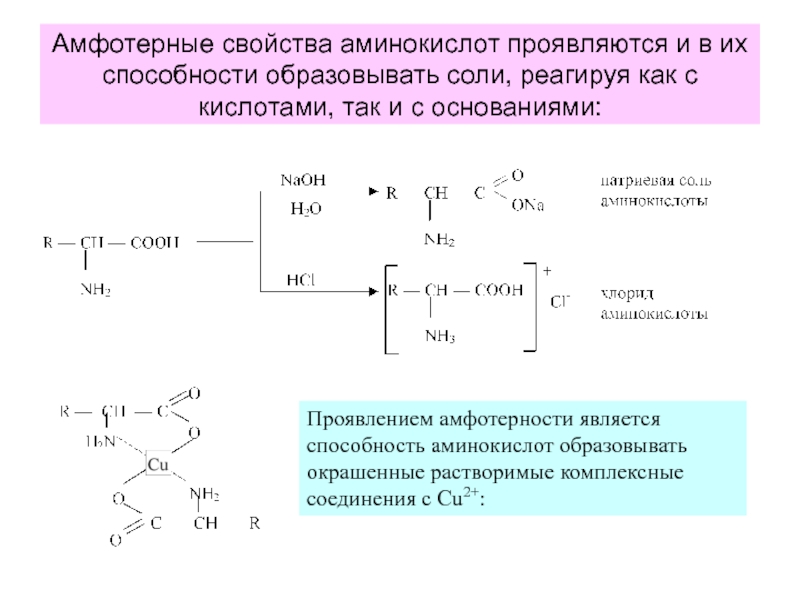 Схема образования биполярного иона