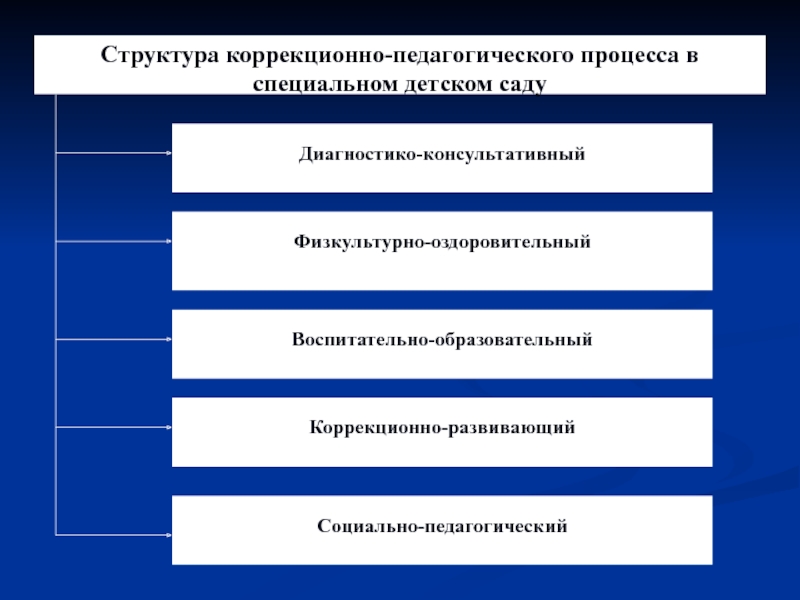 Коррекционно педагогический проект