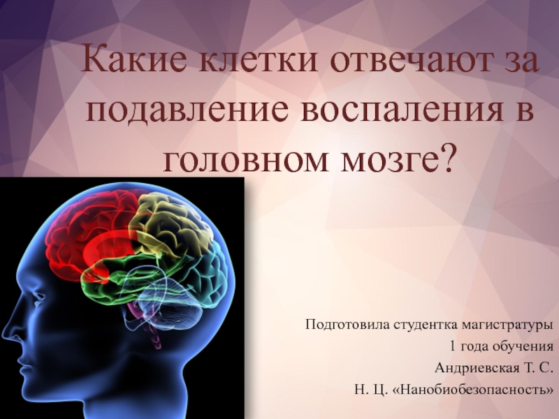 Презентация Какие клетки отвечают за подавление воспаления в головном мозге?