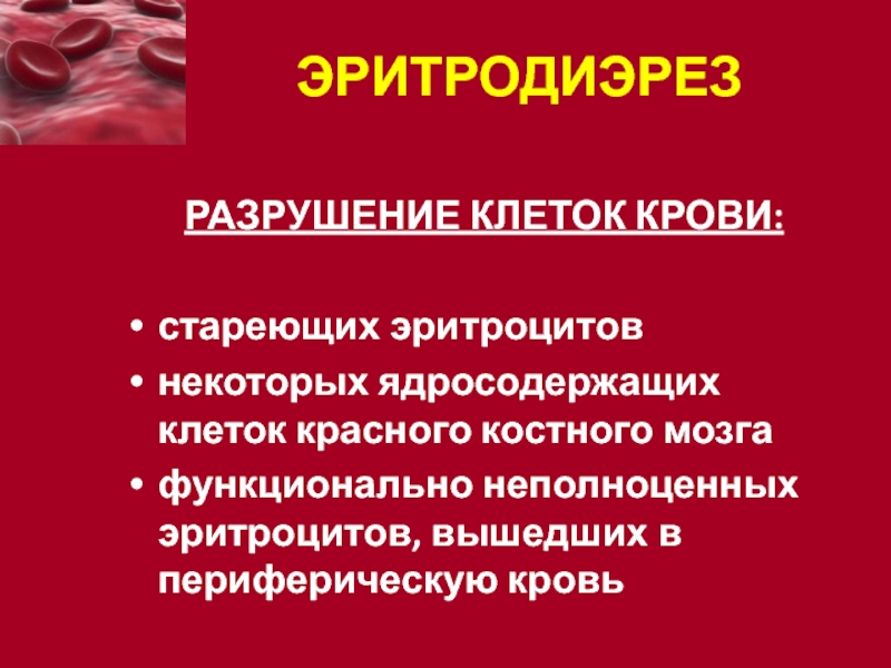 Патология красной крови патофизиология презентация