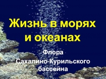 Жизнь в морях и океанах  Флора Сахалино-Курильского бассейна