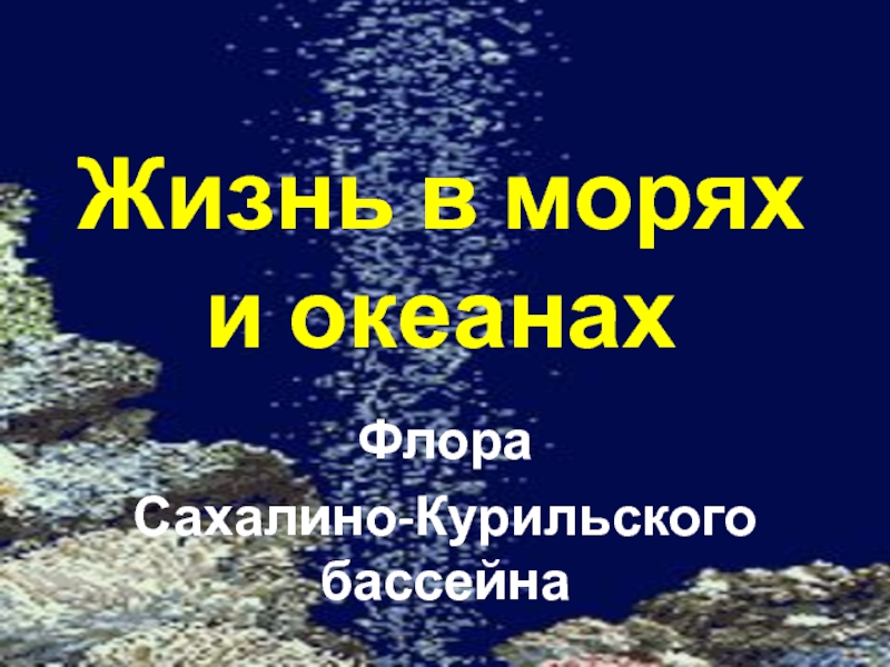 Презентация Жизнь в морях и океанах  Флора Сахалино-Курильского бассейна