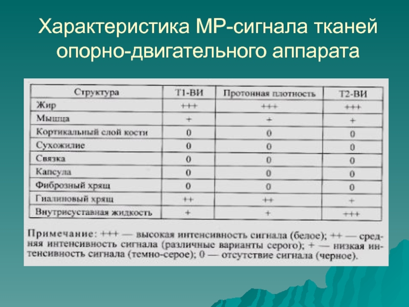 Т1 и т2 взвешенные изображения в мрт отличия