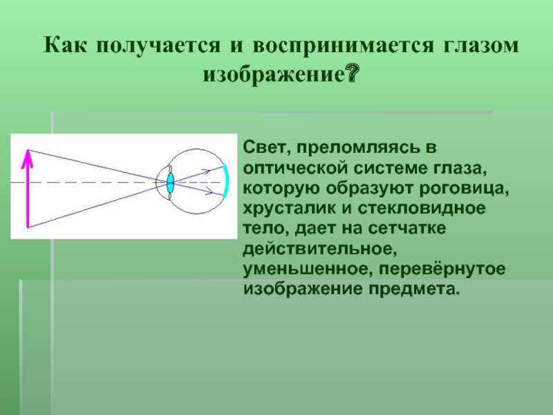 Как возникают и воспринимаются глазом изображения различных предметов