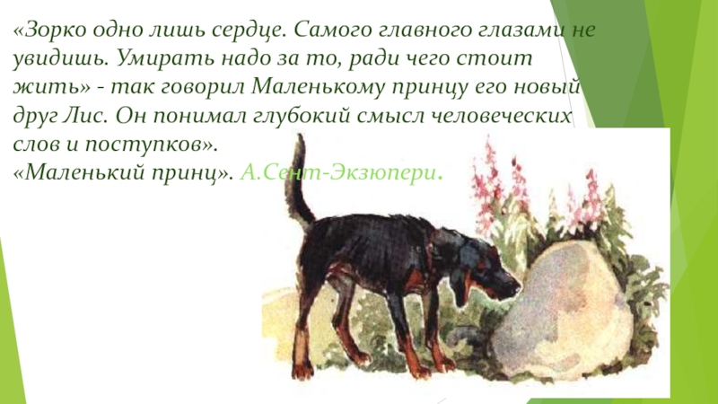 Жил у меня гончий щенок задор. Пес Арктур гончий пес. Рассказ Арктур гончий пес. Казаков Арктур гончий пес иллюстрация.