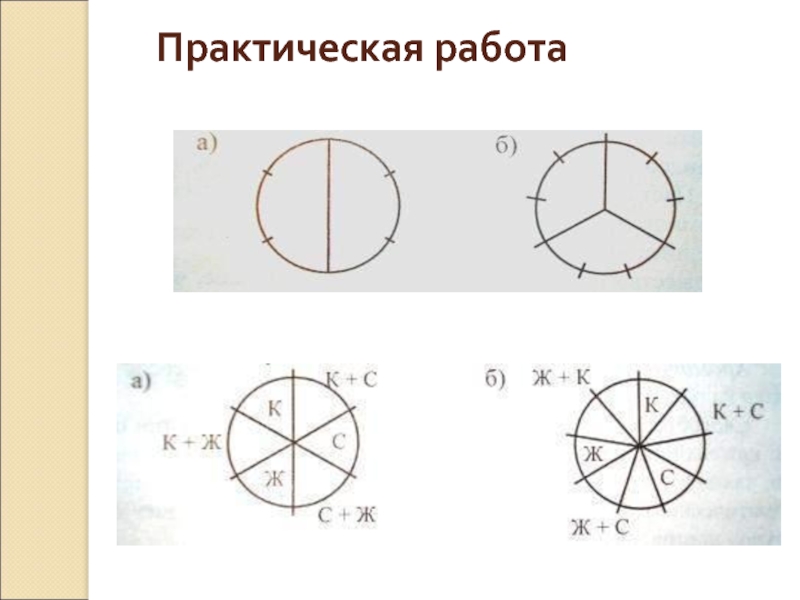 Практическая 7. Практическая работа окружность 5 класс.