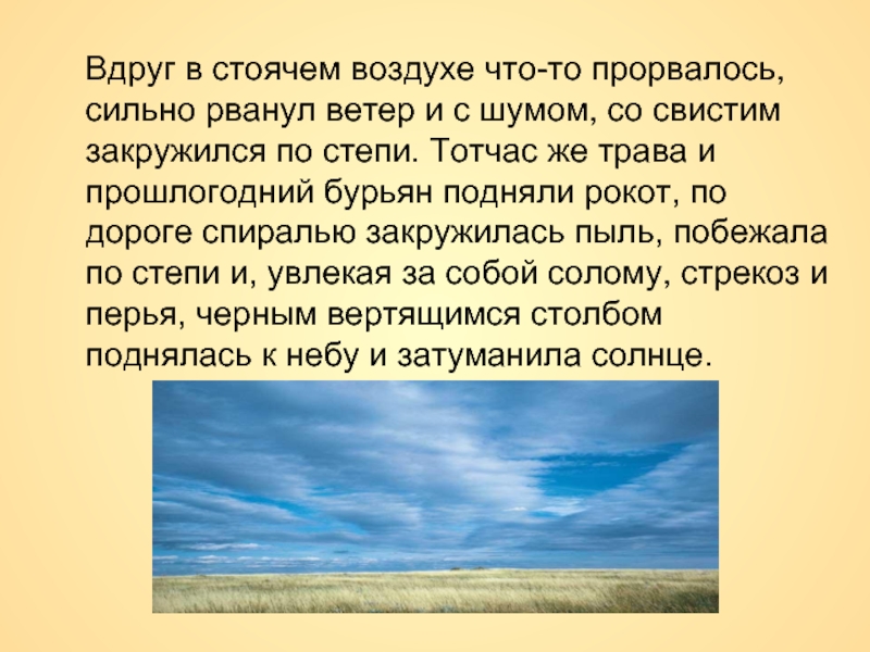 Сильно рванул ветер и со свистом закружил по степи схема предложения 5