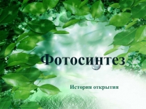 Фотосинтез